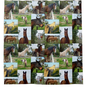 馬の写真コラージュのバスルームのシャワーカーテン シャワーカーテン