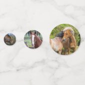 馬の写真テーブル紙吹雪 コンフェッティ (裏面)