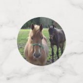 馬の写真テーブル紙吹雪 コンフェッティ (スモール正面)