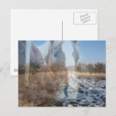 馬の冬の挨拶 ポストカード (正面/裏面)