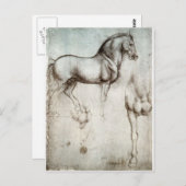 馬の勉強 ポストカード (正面/裏面)