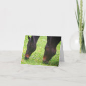 馬の友人の放牧空白のノートカード カード (正面)