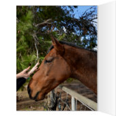 馬の友人の永遠に、大きな誕生日カード (内側(左))