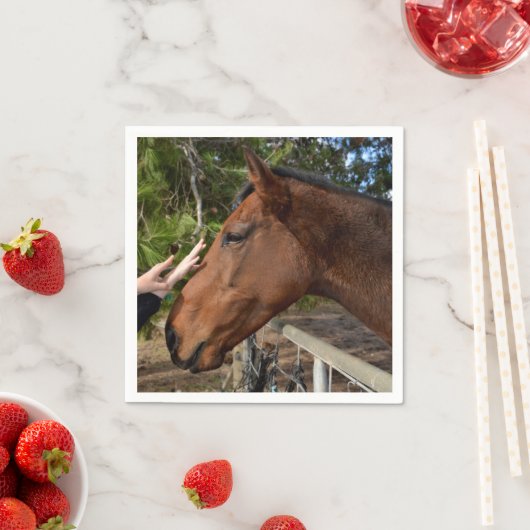 馬の友人は永遠に スタンダードカクテルナプキン (インサイチュ)