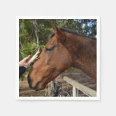 馬の友人は永遠に スタンダードカクテルナプキン (正面)