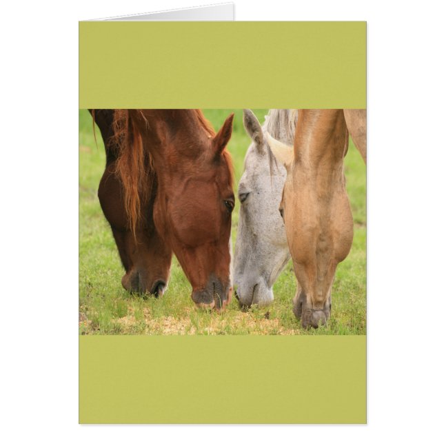 馬の友達 (正面)