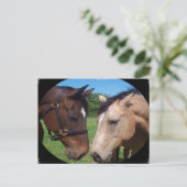 馬の友達 ポストカード (スタンド正面)