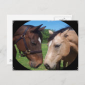 馬の友達 ポストカード (正面/裏面)