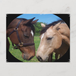 馬の友達 ポストカード