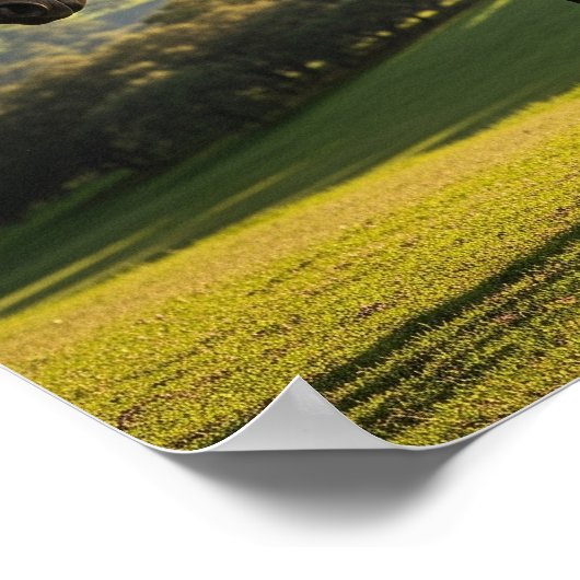 馬の取り外し ポスター (角)