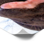 馬の口から真っ直ぐおもしろいの動物 ポスター (角)