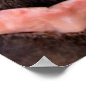 馬の口から真っ直ぐおもしろいの動物 ポスター (角)