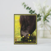 馬の口が作られたもの ポストカード (スタンド正面)