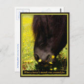 馬の口が作られたもの ポストカード (正面/裏面)