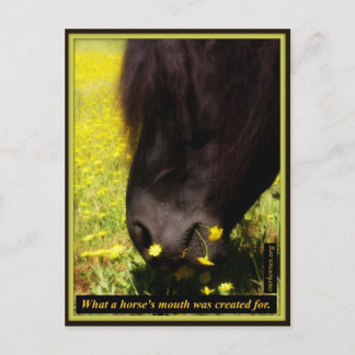 馬の口が作られたもの ポストカード