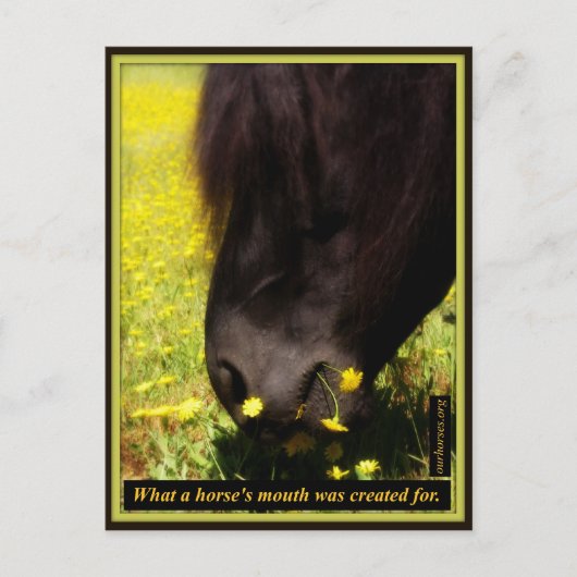 馬の口が作られたもの ポストカード (正面)