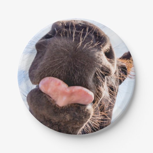 馬の口の写真から直おもしろいぐ ペーパープレート (正面)