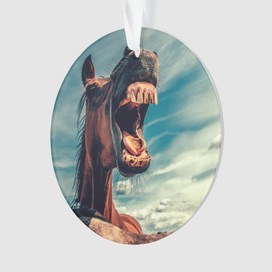 馬の口の歯ネイ野生馬の動物 オーナメント (正面)