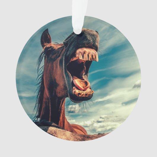 馬の口の歯ネイ野生馬の動物 オーナメント (正面)