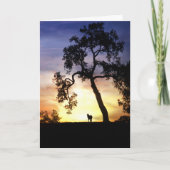 馬の同情カード カード (正面)