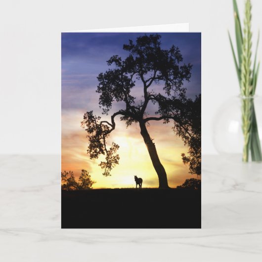 馬の同情カード カード (正面)