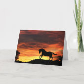 馬の同情カード カード (正面)