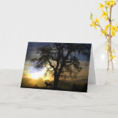 馬の同情カード カード (黄色い花)