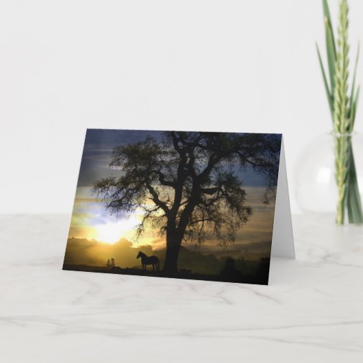 馬の同情カード カード (正面)