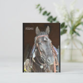 馬の名前のポストカードpinto mareファーゴ ポストカード (スタンド正面)