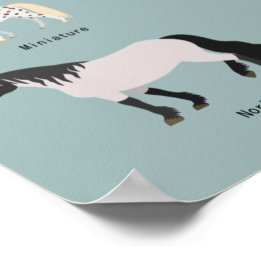 馬の品種 ポスター (角)