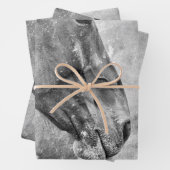 馬の国の黒素朴と白のデコパージュ ラッピングペーパーシート (インサイチュ)