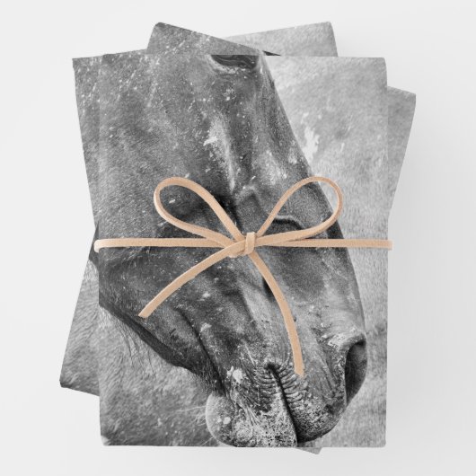 馬の国の黒素朴と白のデコパージュ ラッピングペーパーシート (インサイチュ)