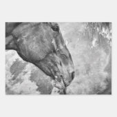 馬の国の黒素朴と白のデコパージュ ラッピングペーパーシート (正面)