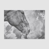 馬の国の黒素朴と白のデコパージュ 薄葉紙 (正面)