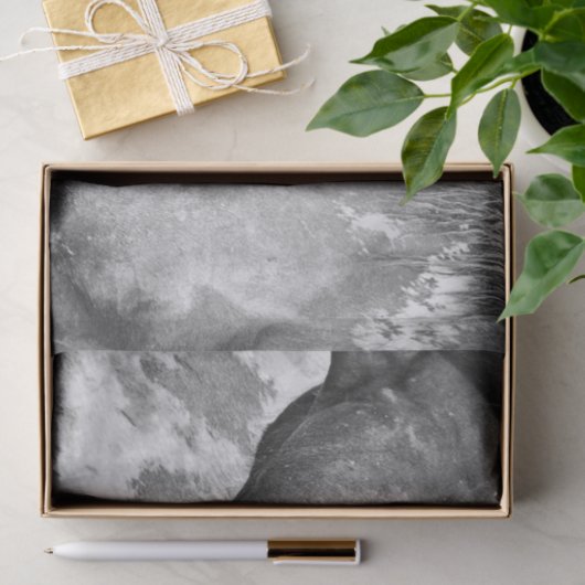 馬の国の黒素朴と白のデコパージュ 薄葉紙 (ギフト)