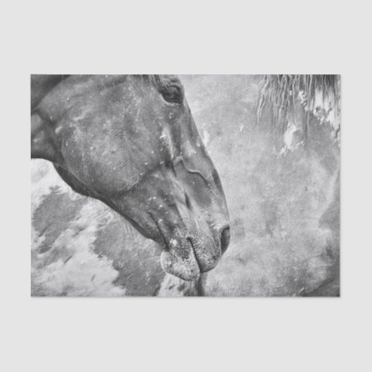 馬の国の黒素朴と白のデコパージュ 薄葉紙 (正面)