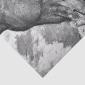 馬の国の黒素朴と白のデコパージュ 薄葉紙 (詳細)