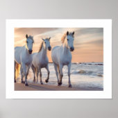 馬の壁の装飾 ポスター (正面)