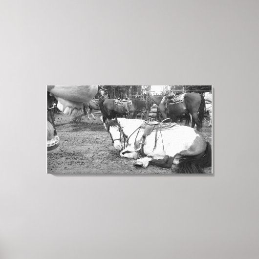 馬の壁アートブラックアンドホワイトフォトボマー キャンバスプリント (正面)