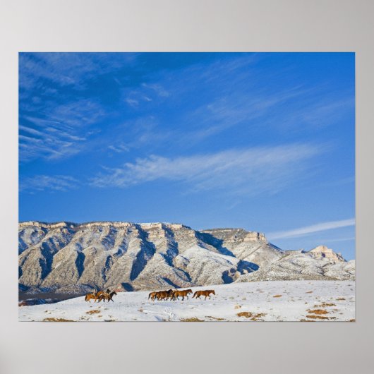 馬の声を聞くカウボーイズ ポスター (正面)