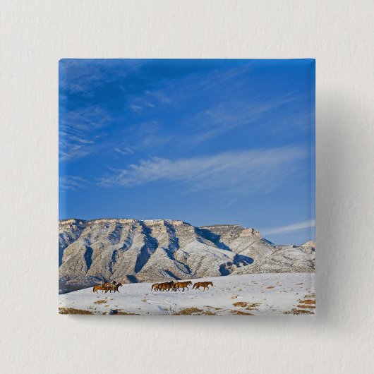 馬の声を聞くカウボーイズ 缶バッジ (正面)