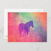 馬の夢 ポストカード (正面/裏面)