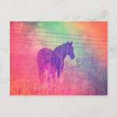 馬の夢 ポストカード (正面)