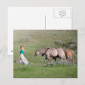 馬の女の子 ポストカード (正面/裏面)