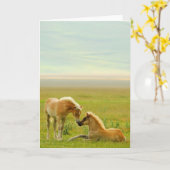 馬の子馬 カード (黄色い花)