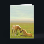 馬の子馬 カード<br><div class="desc">馬は分野で産みます</div>