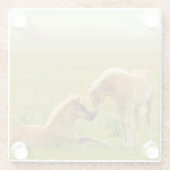 馬の子馬 ガラスコースター (裏面)