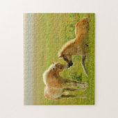 馬の子馬 ジグソーパズル (縦)