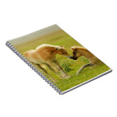 馬の子馬 ノートブック (右側)