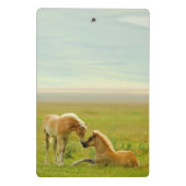 馬の子馬 ミニクリップボード (裏面)